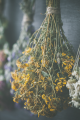 images/home/portfolio/Bild 2_9 Raster.png